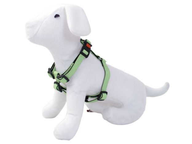 Obrázek Postroj DOG FANTASY Classic zelený 65-100 cm 