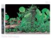 Pozadí AQUA EXCELLENT tapeta ráj rostlin c.1 - 1500 x 30 cm 15m