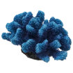 Dekorace AQUA EXCELLENT Morský korál modrý 14,5 x 10,5 x 7,4 cm 