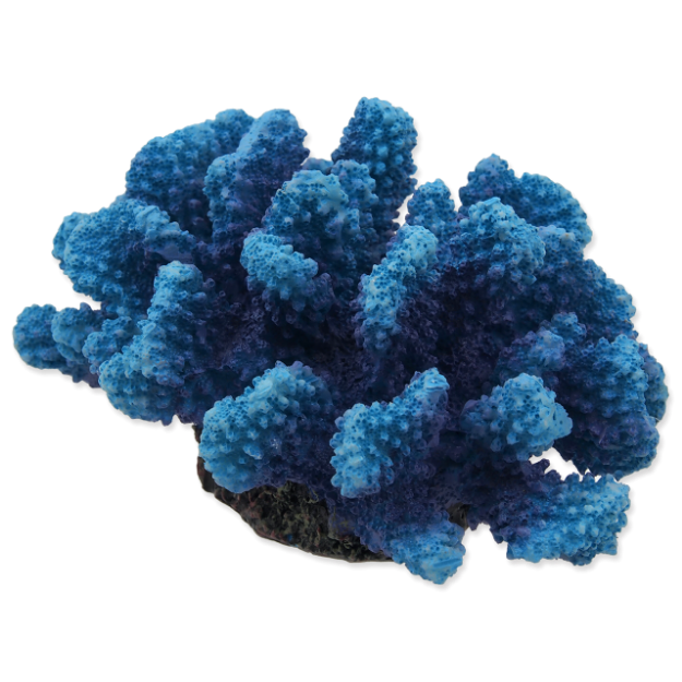 Dekorace AQUA EXCELLENT Morský korál modrý 14,5 x 10,5 x 7,4 cm 